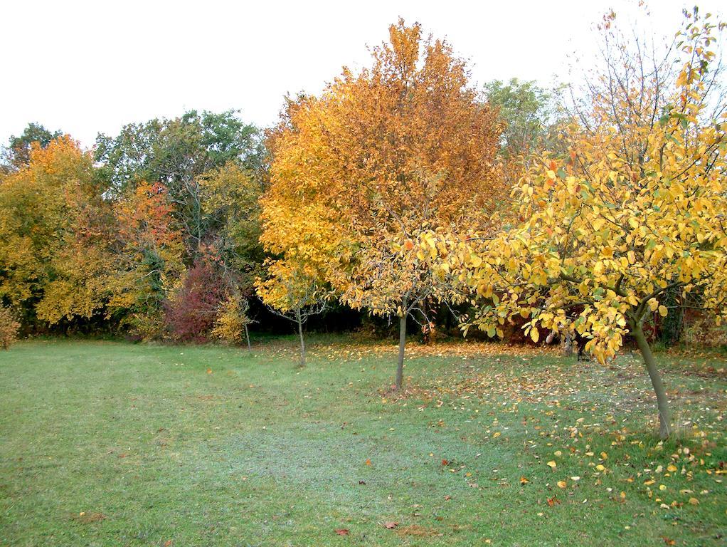 La Roseraie Neuville-de-Poitou Exterior photo